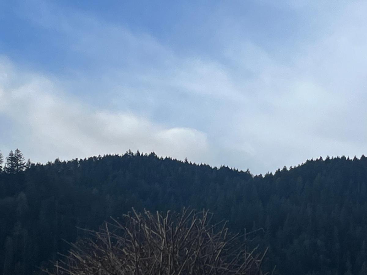 Apartament Mira Gernsbach Zewnętrze zdjęcie